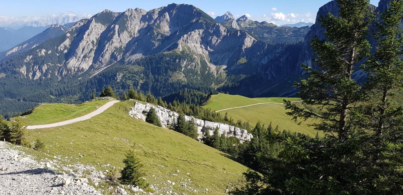 Ferienwohnungen Wolf - Pfronten Mitte, Bagian luar foto